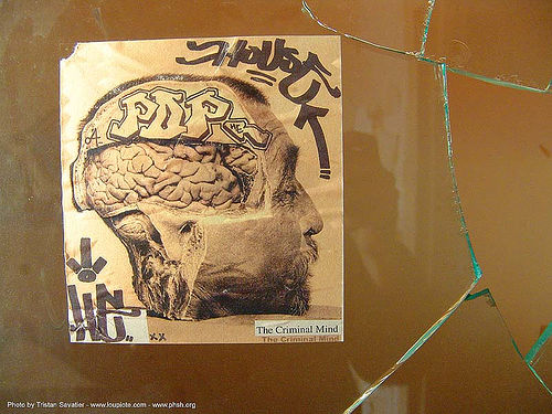 the-criminal-mind - brain autopsy - severed head - poster - abandoned hospital (presidio, san francisco), abandoned building, abandoned hospital, autopsy, brain, graffiti, human head, poster, presidio hospital, presidio landmark apartments, real severed head, street art, the criminal mind, trespassing