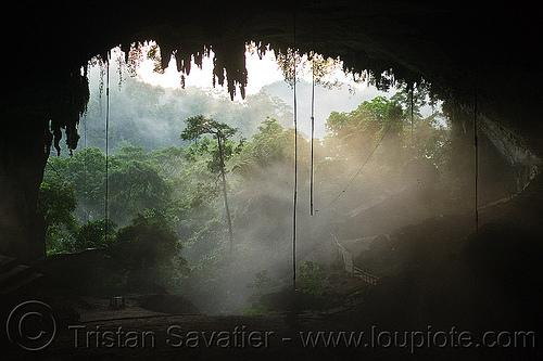 the great cave at gua niah - niah caves - natural cave in rain forest (borneo), backlight, birds-nest, borneo, cave formations, cave mouth, caving, concretions, fog, foggy, gua niah, hazy, malaysia, mist, misty, natural cave, niah caves, rain forest, speleothems, spelunking, stalactites