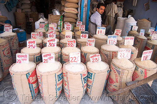 the price of rice - delhi (india), bags, bulk, delhi, price, rice, shop, store