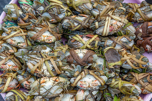 tied-up crabs at fish market, crabs, fish market, seafood, surabaya