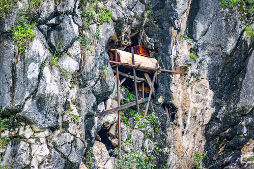 toraja coffins in cliff burial - londa cave burial site, burial site, cemetery, cliff, coffins, grave, graveyard, liang, londa burial cave, scaffolding, tana toraja, tomb