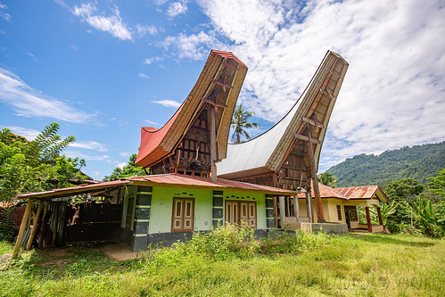 toraja houses with traditional tongkonan roofs, tana toraja, tongkonan house, tongkonan roof, village