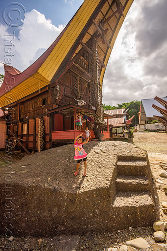 toraja little girl in front of traditional house, boys, children, kids, little girls, tana toraja, tongkonan house, tongkonan roof, village, water buffalo horns