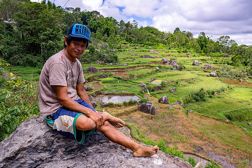toraja man sitting on boulder with terraced rice fields in the back, tana toraja