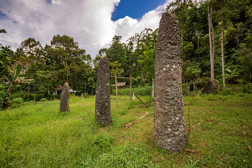 toraja megalith memorial stones (menhirs), megaliths, memorial stones, menhirs, simbuang batu, tana toraja