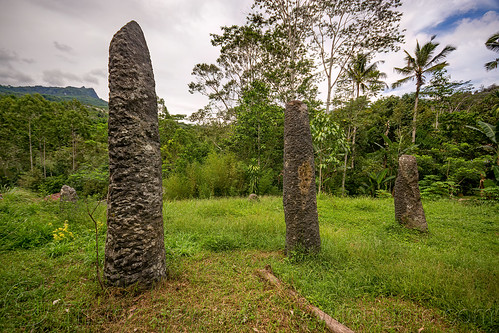 toraja megalith memorial stones (menhirs), megaliths, memorial stones, menhirs, simbuang batu, tana toraja