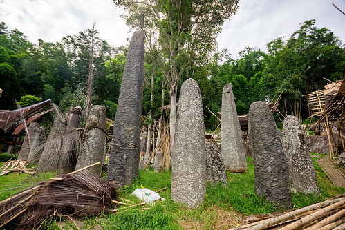 toraja megalith memorial stones (menhirs) in bori kalimbuang, bori kalimbuang, construction, megaliths, memorial stones, menhirs, miniature tongkonan, simbuang batu, tana toraja, tongkonan roof