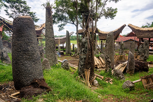 toraja megalith memorial stones (menhirs) in bori kalimbuang, bori kalimbuang, construction, megaliths, memorial stones, menhirs, miniature tongkonan, simbuang batu, tana toraja, tongkonan roof