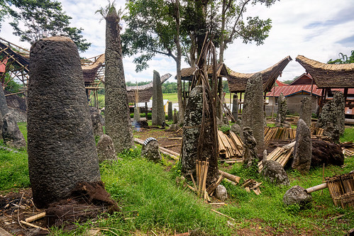 toraja megalith memorial stones (menhirs) in bori kalimbuang, bori kalimbuang, construction, megaliths, memorial stones, menhirs, miniature tongkonan, simbuang batu, tana toraja, tongkonan roof