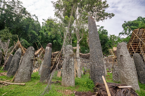 toraja megalith memorial stones (menhirs) in bori kalimbuang, bori kalimbuang, construction, megaliths, memorial stones, menhirs, miniature tongkonan, simbuang batu, tana toraja, tongkonan roof