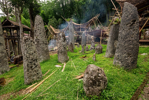 toraja megalith memorial stones (menhirs) in bori kalimbuang, bori kalimbuang, construction, megaliths, memorial stones, menhirs, miniature tongkonan, simbuang batu, tana toraja, tongkonan  roof