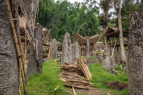 toraja megalith memorial stones (menhirs) in bori kalimbuang, bori kalimbuang, construction, megaliths, memorial stones, menhirs, miniature tongkonan, simbuang batu, tana toraja, tongkonan roof