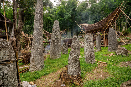 toraja megalith memorial stones (menhirs) in bori kalimbuang, bori kalimbuang, construction, megaliths, memorial stones, menhirs, miniature tongkonan, simbuang batu, tana toraja, tongkonan roof