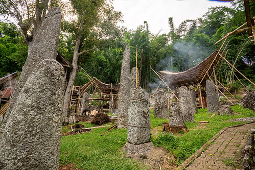 toraja megalith memorial stones (menhirs) in bori kalimbuang, bori kalimbuang, construction, megaliths, memorial stones, menhirs, miniature tongkonan, simbuang batu, tana toraja, tongkonan roof