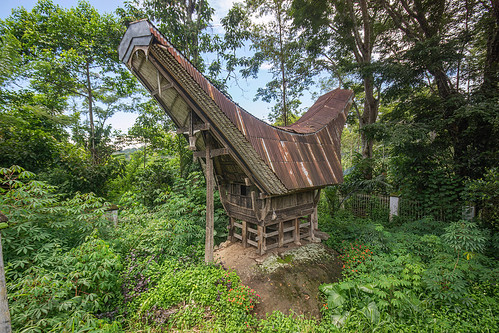 toraja rice-barn with traditional tongkonan horn-shape roof, alang, rice granaries, rice-barns, tana toraja, tongkonan roof