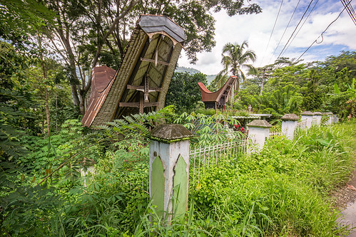 toraja rice barn with traditional tongkonan horn-shape roof, alang, rice granary, rice-barn, tana toraja, tongkonan roof