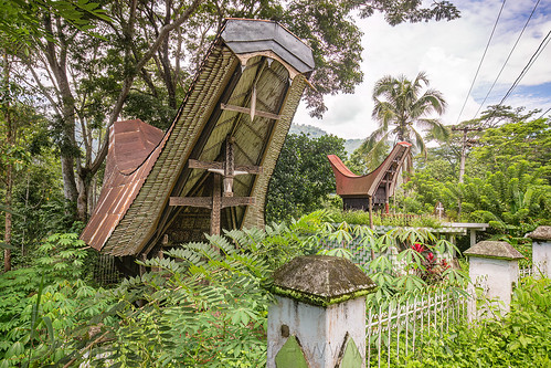 toraja rice-barn with traditional tongkonan roof, alang, rice granary, rice-barn, tana toraja, tongkonan roof