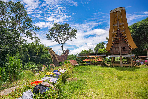 toraja rice barn with traditional tongkonan roof, alang, rice granary, rice-barn, tana toraja, tongkonan roof, village