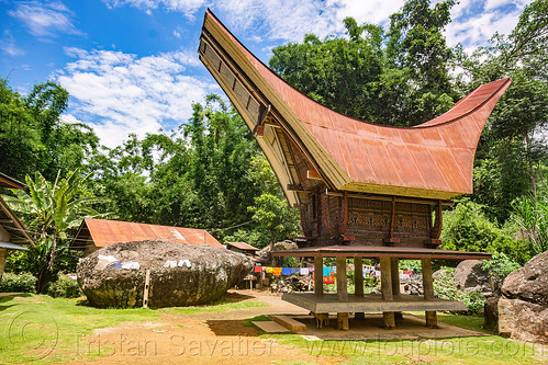 toraja rice-barn with traditional tongkonan roof, alang, rice granary, rice-barn, tana toraja, tongkonan roof, village