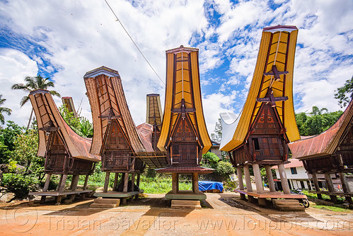 toraja rice-barns with traditional tongkonan roofs, alang, rice granaries, rice-barns, tana toraja, tongkonan roof, village