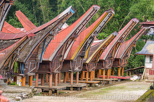 toraja rice barns with traditional tongkonan roofs, alang, rice granaries, rice-barns, tana toraja, tongkonan roof, village