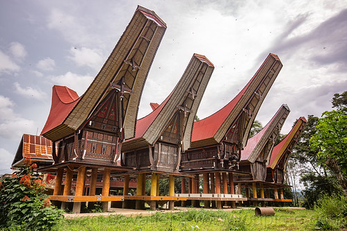 toraja rice barns with traditional tongkonan roofs, alang, rice granaries, rice-barns, tana toraja, tongkonan roof, village