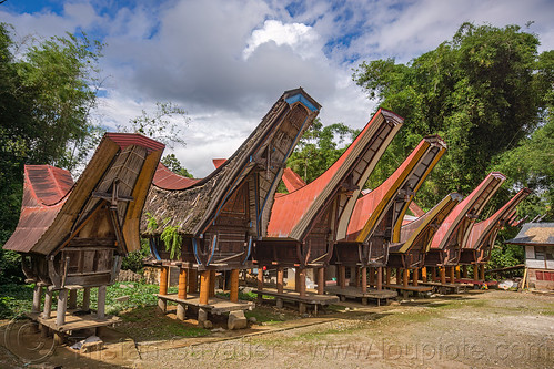 toraja rice-barns with traditional tongkonan roofs, alang, rice granaries, rice-barns, tana toraja, tongkonan roof, village