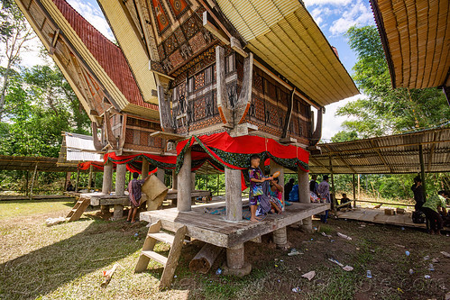 toraja rice-barns with traditional tongkonan roofs, alang, rice granaries, rice-barns, tana toraja, tongkonan roof, village