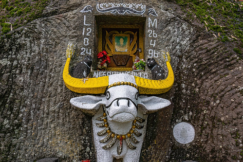 toraja rock-tomb with carved water buffalo, burial site, cemetery, grave, graveyard, liang pak, pa'tedong, rock tombs, tana toraja, tomb