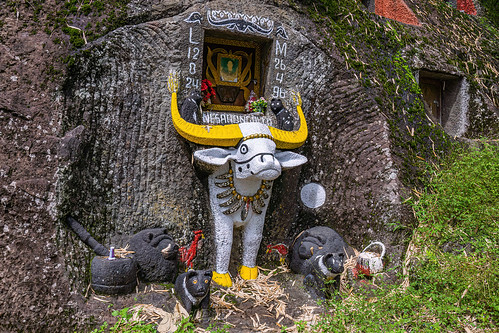 toraja rock-tomb with carved water buffalo, burial site, cemetery, effigies, grave, graveyard, liang pak, pa'tedong, rock tombs, tana toraja, tau-tau, tomb