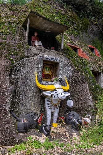 toraja rock-tomb with tau-tau effigy and carved water buffalo, burial site, cemetery, effigies, grave, graveyard, liang pak, pa'tedong, rock tombs, tana toraja, tau-tau, tomb