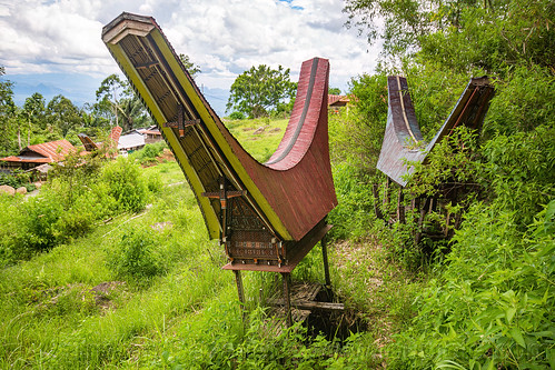 toraja tongkonan near rock-tombs, alang, girls, rice granaries, rice-barns, tana toraja, tongkonan roof, village