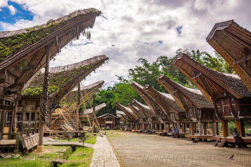 toraja village street lined with rice granaries and houses with traditional tongkonan roofs, alang, rice granaries, rice-barns, tana toraja, tongkonan house, village