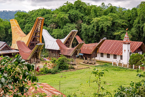 toraja village with church near traditional tongkonan roofs, church, tana toraja, tongkonan roof, village