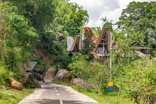 toraja village with traditional tongkonan roofs, road, tana toraja, tongkonan roof, village