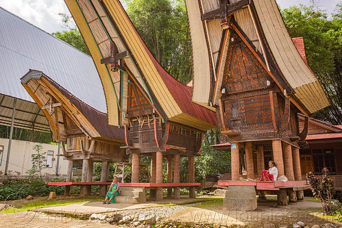 toraja women resting under traditional rice-barns, alang, resting, rice granaries, rice-barns, tana toraja, tongkonan roof, village, women