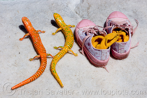 toy lizards and pink tennis shoes, argentina, halite, jujuy, lizards, noroeste argentino, orange, pink, rock salt, salar, salinas grandes, salt bed, salt flats, salt lake, tennis shoes, toys, white, yellow