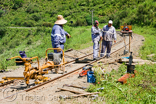 track maintenance work, argentina, men, metric gauge, narrow gauge, noroeste argentino, railroad construction, railroad tracks, railway tracks, single track, track maintenance, tren a las nubes, workers