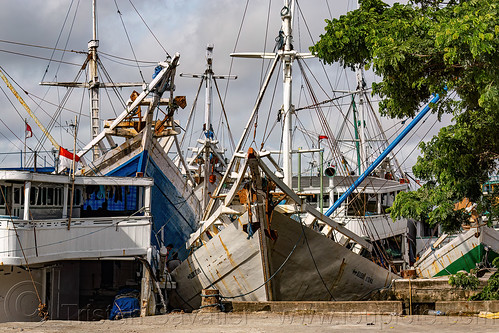 traditional pinisi boats (bugis schooners) at the makassar harbor, boats, bugis schooners, dock, harbor, makassar, pinisi, ship bow, ships