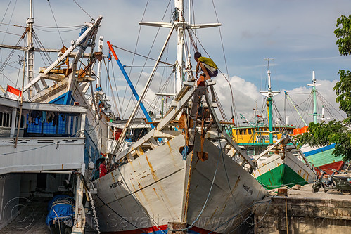 traditional pinisi boats (bugis schooners) docked at the makassar harbor, boats, bugis schooners, dock, harbor, makassar, man, pinisi, ships