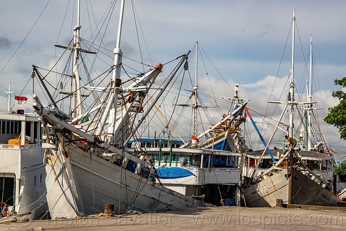 traditional pinisi boats docked at the makassar harbor, boats, bugis schooners, dock, harbor, makassar, man, pinisi, ships