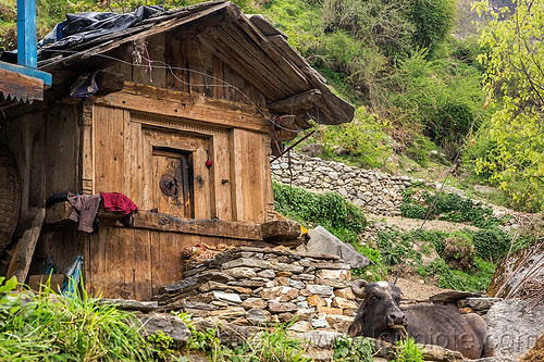 Traditional Wooden House In Himalayan Village India 