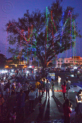 tree with color light strings - fatahillah square at night, christmas lights, color lights, eid ul-fitr, fatahillah square, jakarta, light garlands, light strings, nighr, night, street seller, street vendors, taman fatahillah, tree