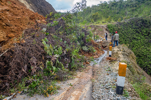 trees in major landslide completely blocking road, bada valley road landslide, men, mountain road, road to bada valley