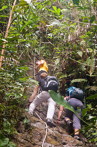 trekking on mulu pinnacle summit trail (borneo), borneo, climbing, erosion, geology, gunung mulu national park, hiking, jungle, knotted rope, limestone, malaysia, pinnacles, rain forest, rock, trekking