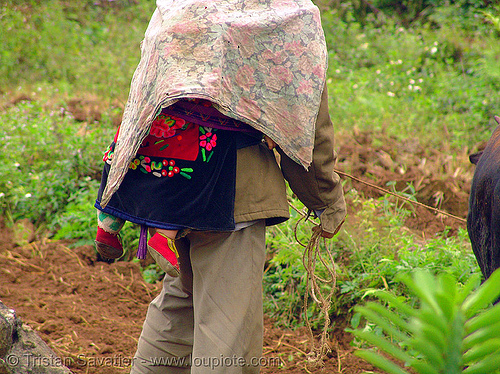 tribe dad carrying baby on his back - vietnam, baby, hill tribes, indigenous, infant
