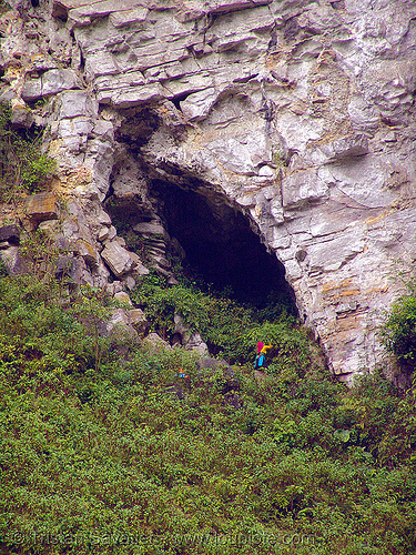 tribe woman gathering plants near natural cave - vietnam, cave mouth, caving, natural cave, spelunking