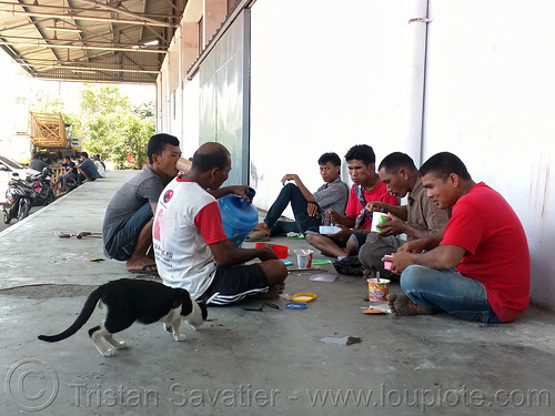 trucks drivers sitting on dock, waiting to board the ferryboat, dock, harbor, makassar, men, sitting