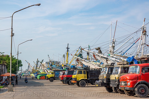 trucks on the surabaya harbor dock, dock, harbor, surabaya