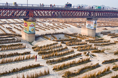 truss bridge over ganga river floodplain, advertising, agriculture, bridge pillars, floodplain, ganga, ganges river, metal bridge, painted ad, riverbed, sand, truss bridge